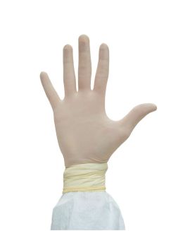 Disposable Latex Gloves - Powder Free