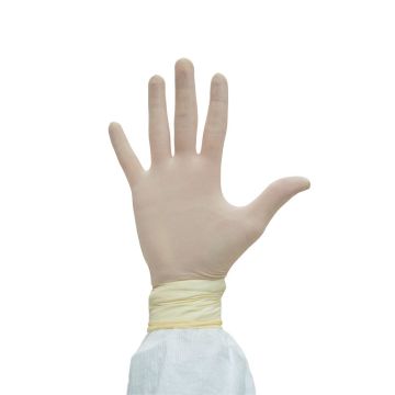 Disposable Latex Gloves - Powder Free