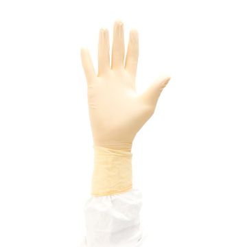 Disposable Polychloroprene 12' Gloves - Sterile - Ultimate